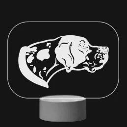 3D Dotyková lampa s diaľkovým ovládaním - PES 05