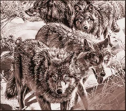 Obraz na plátno - VLCI