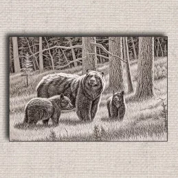 Obraz Medvede 01