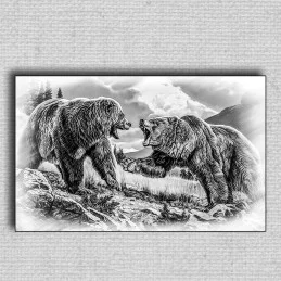 Obraz Medvede 02