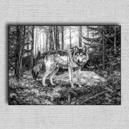 Obraz Vlk 01