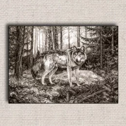 Obraz Vlk 01