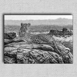 Obraz Leopard 01