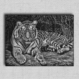 Obraz Tiger 01