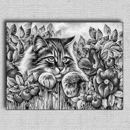Obraz Mačka 01