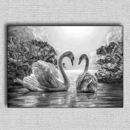 Obraz Labute 01