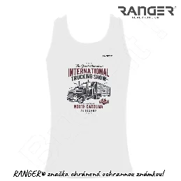 TD_Big Truck 1_obj_12a.jpg