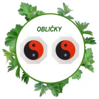 OBLIČKY